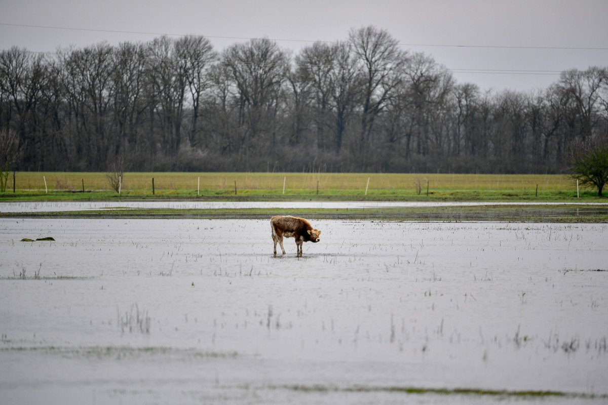 Belvíz, vízvisszatartás