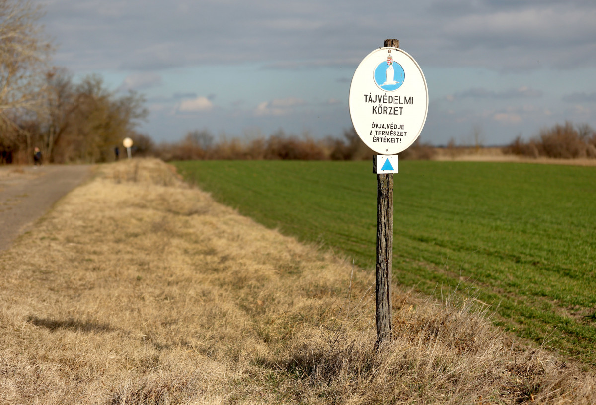 Pusztaszeri Tájvédelmi Körzet, Fehér-tó, természet, túra, kirándulás