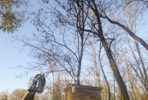 Kettéhasadt fa okozott gondot Debrecenben